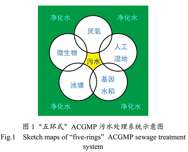 农村生活污水生态处理工艺研究