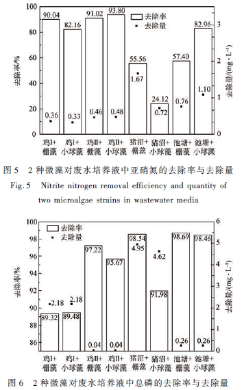 养殖废水深度净化技术(下)成都鑫哲环保咨询有