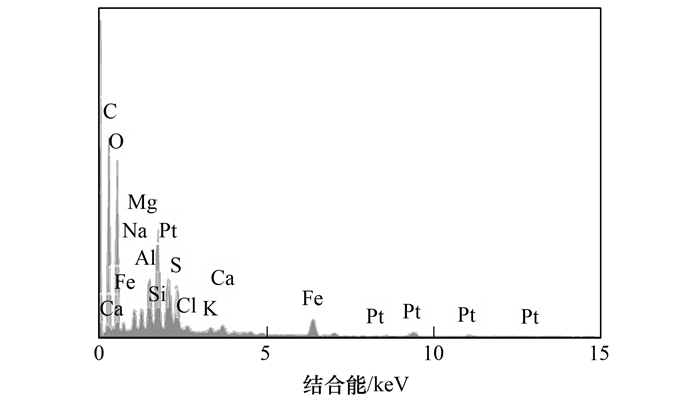 质量分数公式