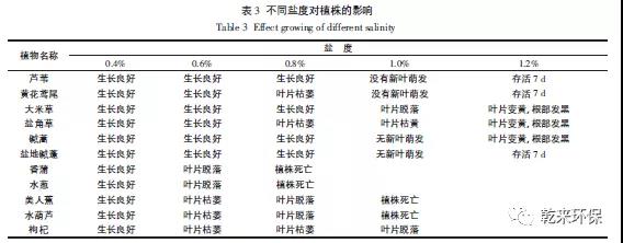 污泥污水处理