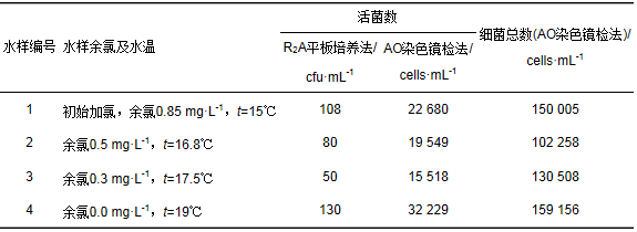 细菌培养结果图片