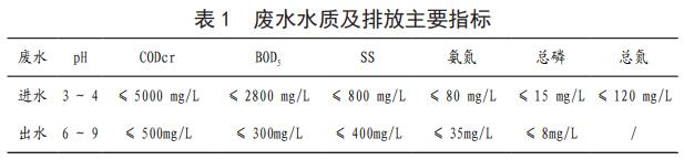 豆制品