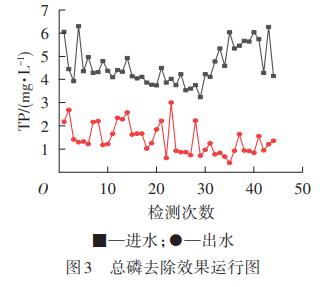 印染废水