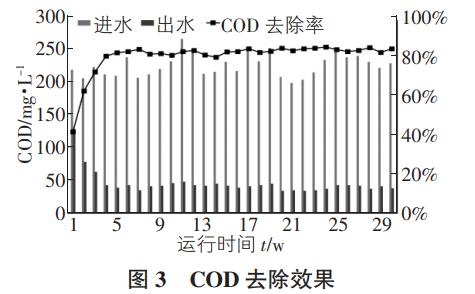 泥膜共生氨氧化