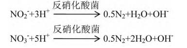 氨氮废水