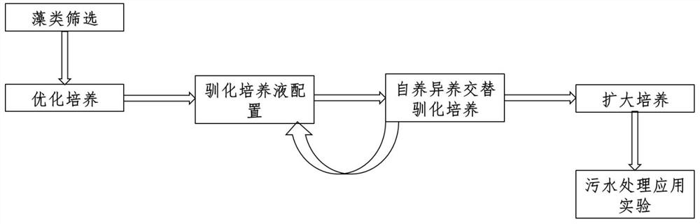 1637547078.jpg