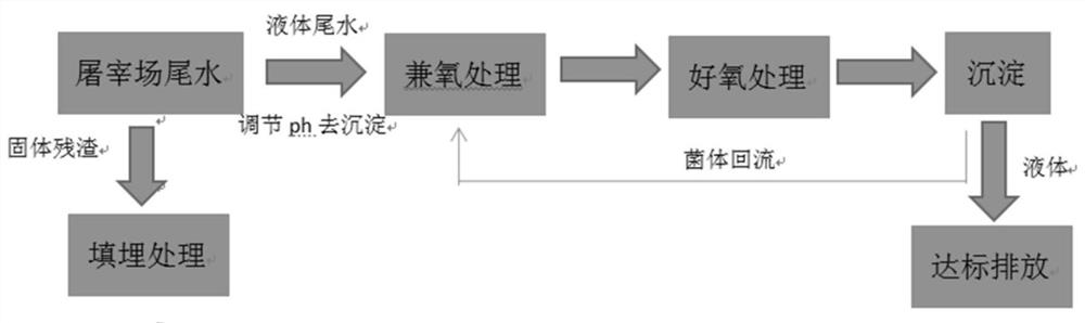 1648431441.jpg