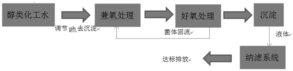 1648431735.jpg